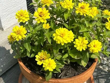 Self Love Meditation - Extended