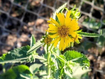 Self Love Meditation, Letting Go Of Perfection