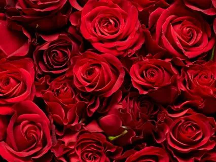 Self Love Meditation This Valentines Day