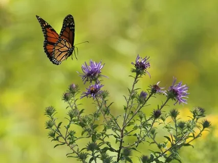 Self Love Meditation With Crystal Bowls