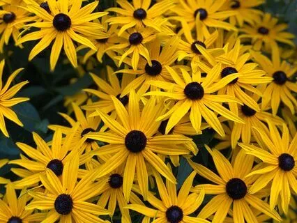 Self-Love Meditation With Mantra