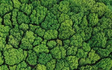 Self-Love Meditation With Positive Affirmations