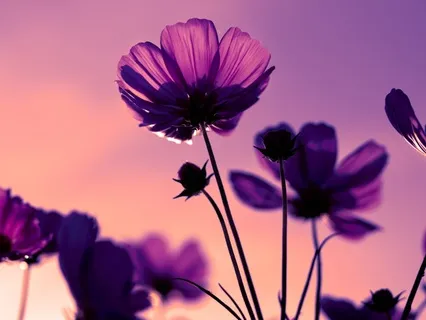 Self-Love Meditation