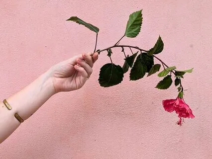 Self-Love Meditation