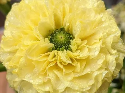 Self-Love | Mindful Motivation