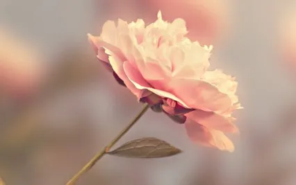 Self Love On Valentine's Day