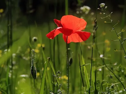 Self Love + Acceptance