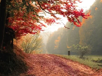 Self Love Poetry Affirmations 