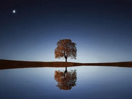 Self-Love Practice - Acceptance