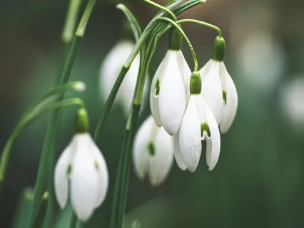 Self Love Practice - My Personal Meditation