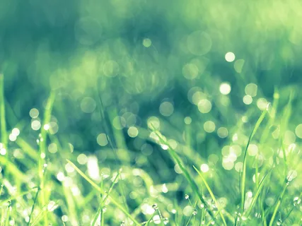 Encourage Inner Love