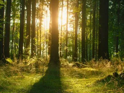 Self-Love Reset: Dissolve Stress, Feel Free