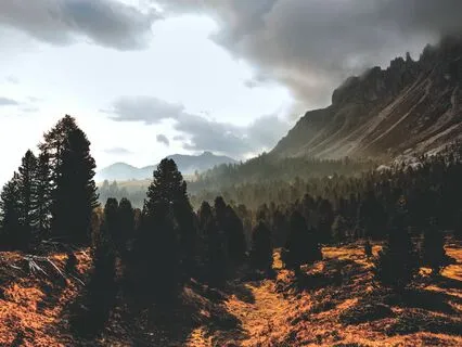 Self-Love's Symphony - Serenade Of The Soul