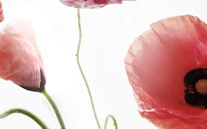 Self-Love / Day 2: My Beautiful Body Energy Clearing