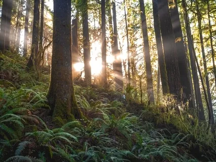 Self Love/ Heart Opening Meditation