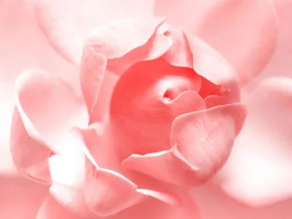 Self Love, Soul Healing