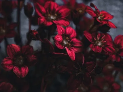 Self Love Sound Bath