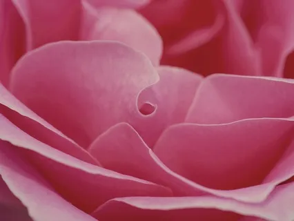 Self Love Sound Healing