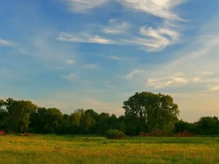 Self-Love Symphony: Music To Calm And Rejuvenate