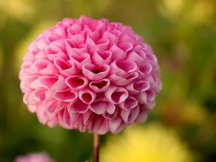 Self-love: Why Self-Love Is Critical For Harmony In Life?