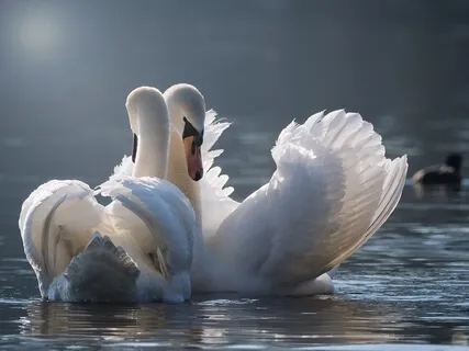 Self Love | World Love