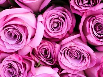 Self Love 528Hz Healing