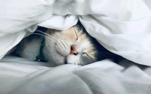 Self-Massage And Deep Breathing Reset