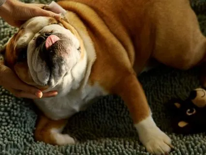 Soothe & Restore: A Self-Massage Practice