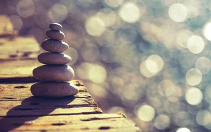 Self-Observation Meditation