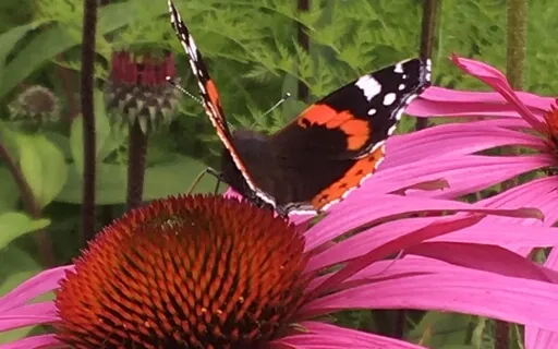 Self Realisation Meditation, 1 Of 7, Max Guidance