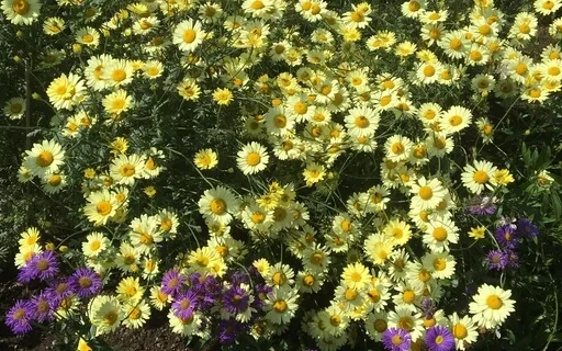 Self Realisation Meditation: Infinite Silence, 2 Of 7