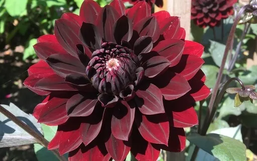 Self Realisation Meditation: Infinite Silence, 3 Of 7