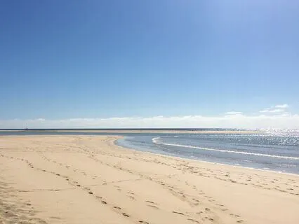 Self Realisation Session: 6th International Yoga Festival