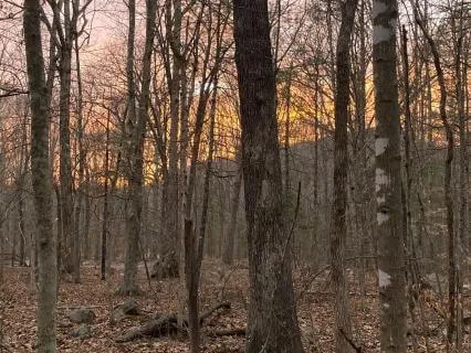 Self-Recovery Practice: Connect