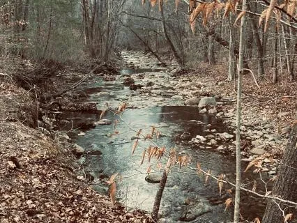 Self-Recovery Practice: Pause