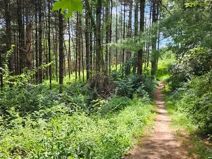 Self-Reflection And Inner Wisdom