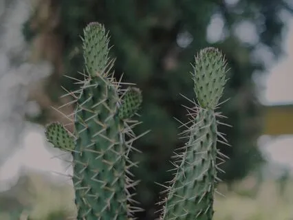 Self-Reflection: How To Calm Down From A Crisis