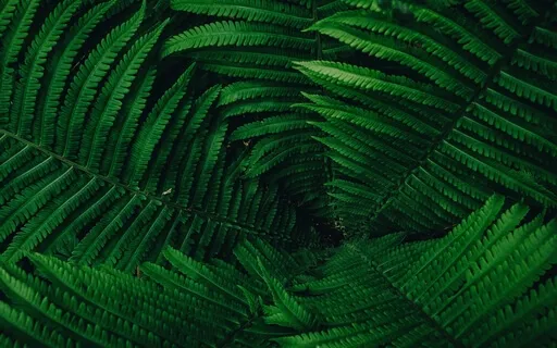 Self Reflection Meditation To Manifest Confidence