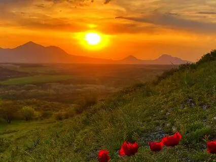 Self Reflection Visualization