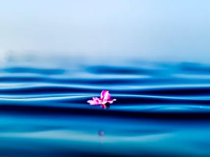 Self Regulation During Meditation