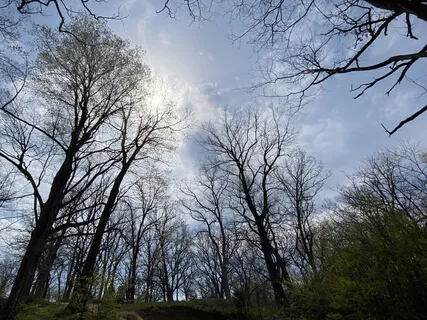 Self Regulation Tool: Big Sigh