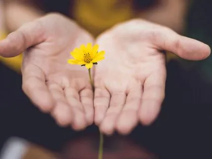 Self-Reiki Hand Positions, Pt. 1