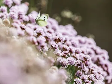 Self-Respect, Confidence And Worthiness