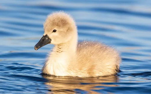 Self Respect: Transform Your Weaknesses