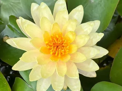 Self-Sabotage Doesn’t Exist