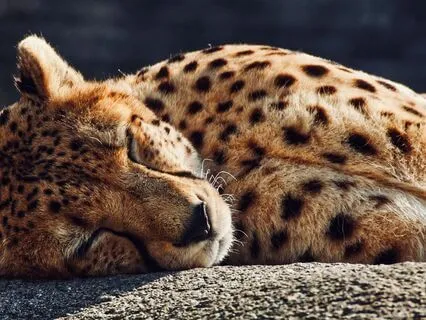 Self Safety: Feel Safe In Your Body & Mind