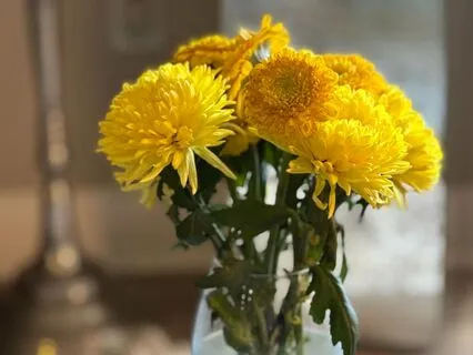 Self-Soothing Eating Mantras