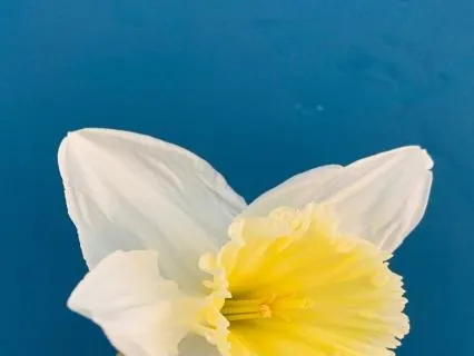 Self Soothing Snacking