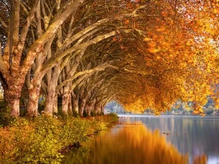 Self-Soothing With Hand Drumming