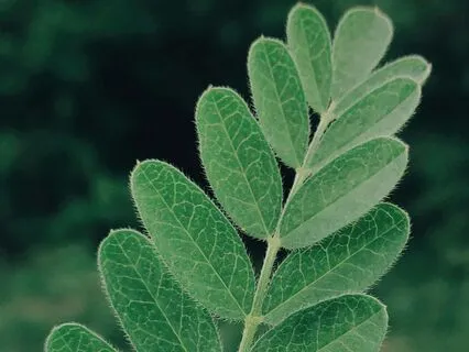 Self-Soothing With The 5 Senses | DBT Stress Relief Skills